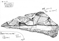 34_web144.jpg